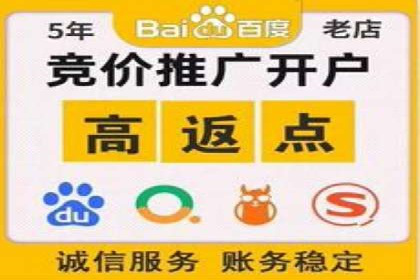百度推广渠道拓展，成功案例分析